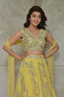 Pranitha at Hello Guru Prema Kosame Movie Success Meet